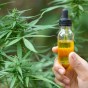 3 Benefits of CBD Oil for Mental&nbsp;Health